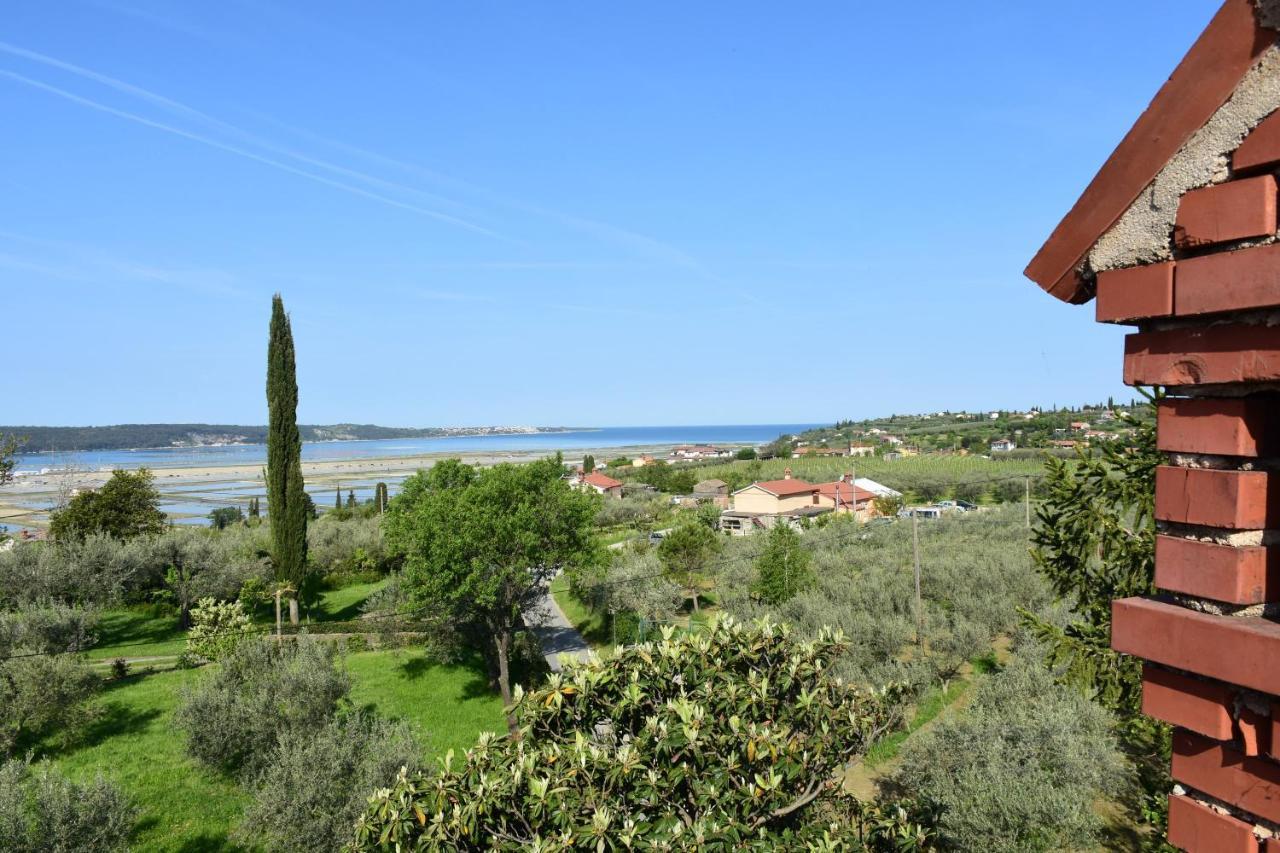 Apartment Pergola Portorož Dış mekan fotoğraf