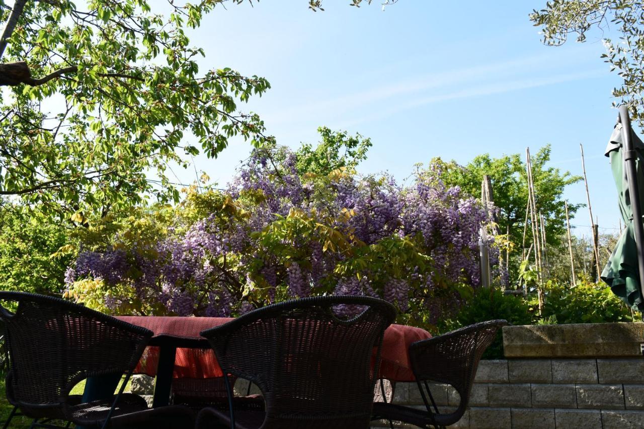 Apartment Pergola Portorož Dış mekan fotoğraf