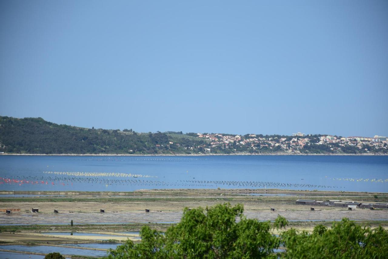 Apartment Pergola Portorož Dış mekan fotoğraf