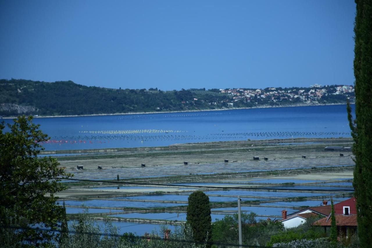 Apartment Pergola Portorož Dış mekan fotoğraf